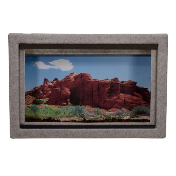 Vision Cage Model 111 - Classic Gray - Desert Rock Formations Background