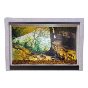 vision cage with nature centric background and decor