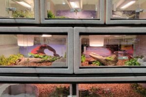 Vision Cages Durable and Strong Reptile Enclosures