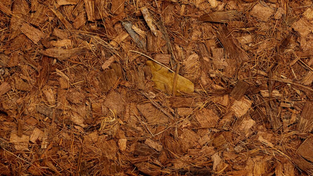 close up view of coconut fiber substrate